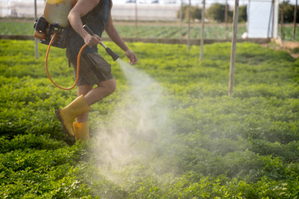 Reliable Roswell, NM Pest Control Solutions