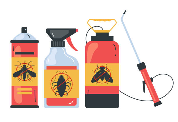 Best Ant Control Services  in Roswell, NM