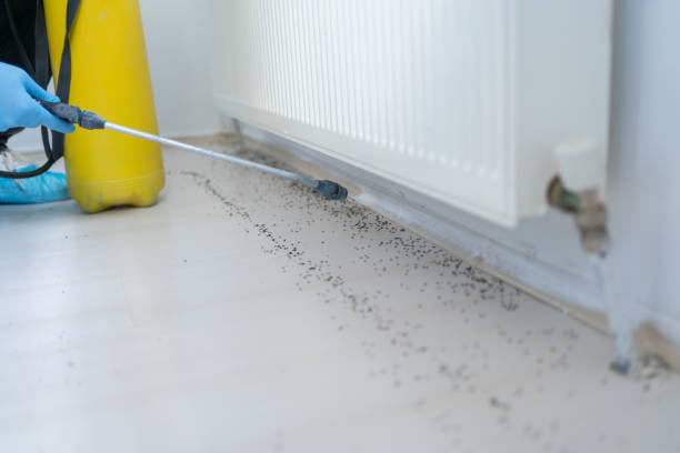 Best Bed Bug Extermination  in Roswell, NM